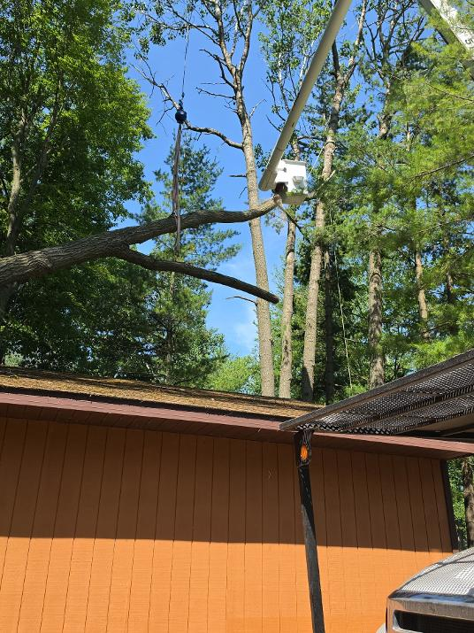Crane rigging a large limb off a home's roofline