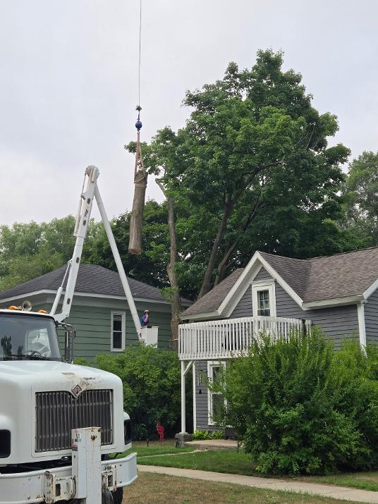 Crane lifting a large trunk section over a residential home