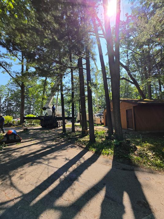 Crew working under tall pines with the crane truck staged on the driveway